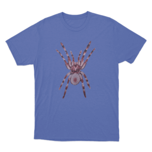 Crimson Spider T Shirt Blue